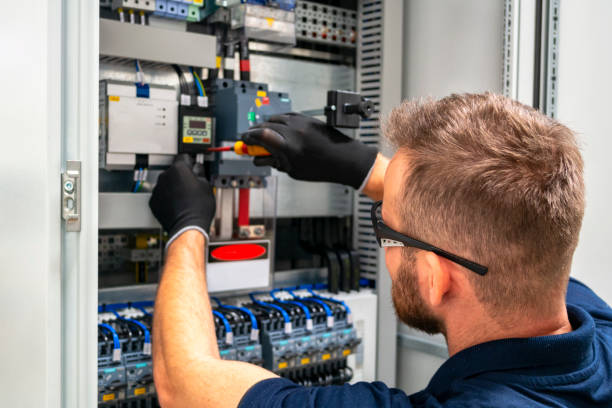 Best Affordable Electrician  in Braidwood, IL