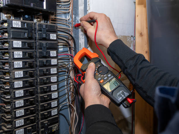 Best Local Electrician Companies  in Braidwood, IL
