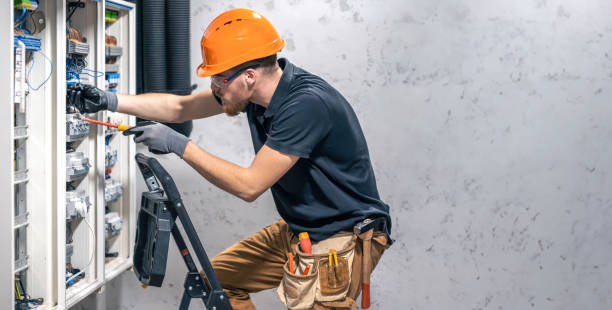 Best Electric Panel Repair  in Braidwood, IL